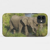 Paar Afrikaanse Olifanten Masai Mara Case-Mate iPhone Case (Achterkant (horizontaal))