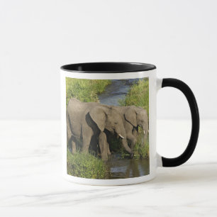 Paar Afrikaanse Olifanten Masai Mara Mok