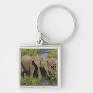 Paar Afrikaanse Olifanten Masai Mara Sleutelhanger