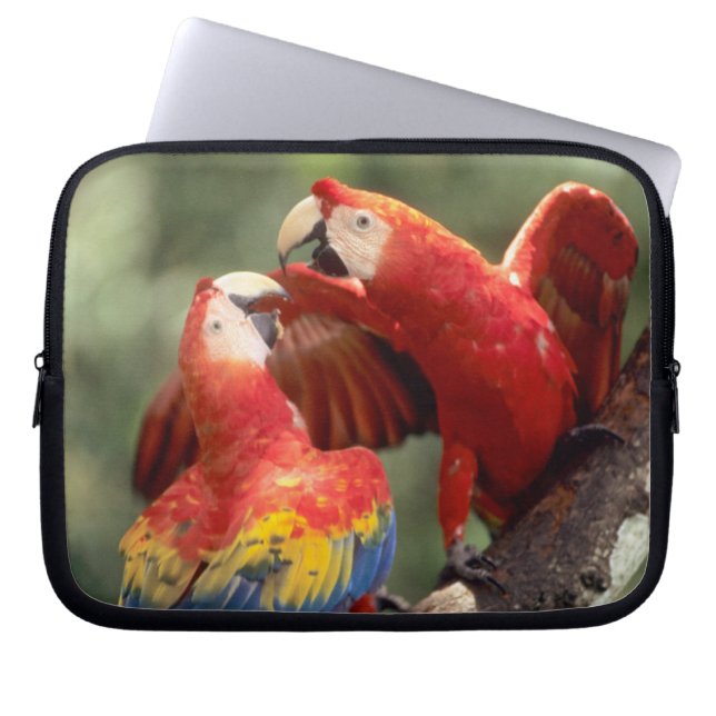 Paar blauwgele ara's laptop sleeve (Voorkant)