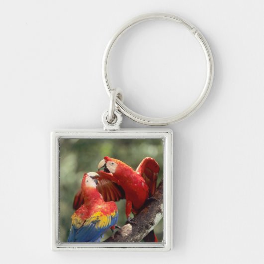 Paar Blauwgele Ara's Sleutelhanger (Voorkant)