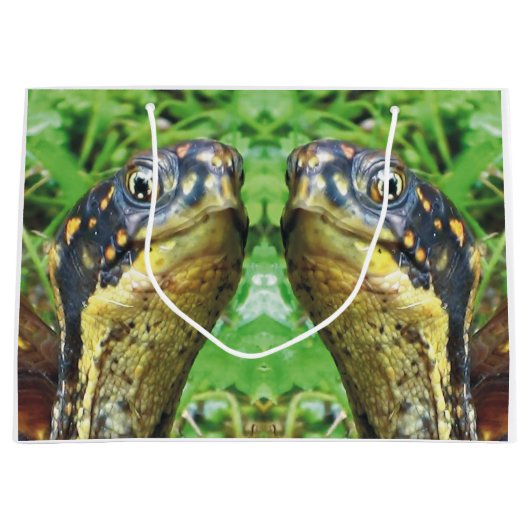 Paar box Turtle Friends Gift Bag Groot Cadeauzakje (Voorkant)