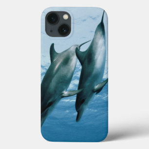 Paar dolfijnen iPhone 13 hoesje