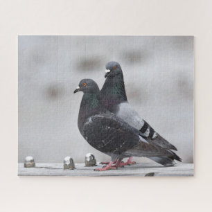 Paar Duiven Legpuzzel
