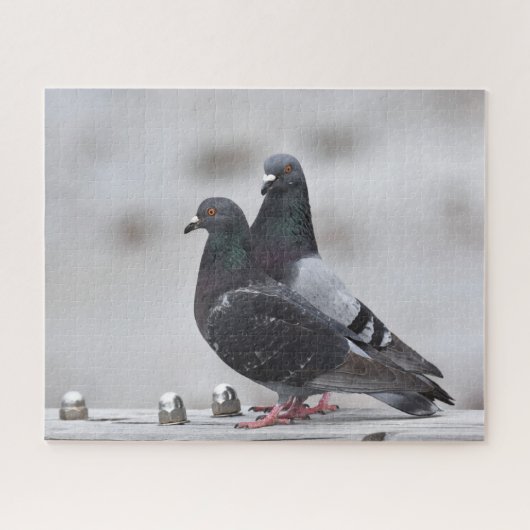 Paar Duiven Legpuzzel (Horizontaal)