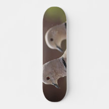 Paar Duiven Skateboard