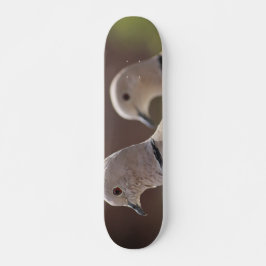 Paar Duiven Skateboard