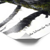 Paar Eagles having plezier! Foto Afdruk (Hoek)