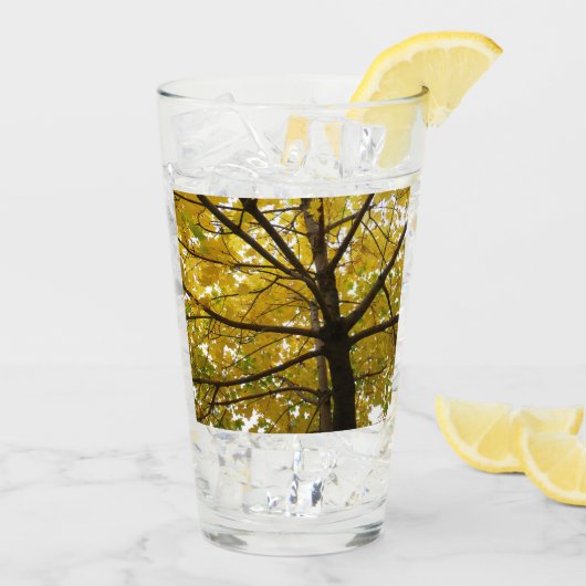 Paar Gele Esdoornbomen Herfst Natuur Glas (Achterkant ijs)