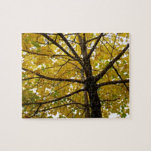 Paar Gele Esdoornbomen Herfst Natuur Legpuzzel (Horizontaal)