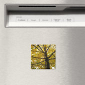 Paar Gele Esdoornbomen Herfst Natuur Magneet (Insitu (Vaatwasser))