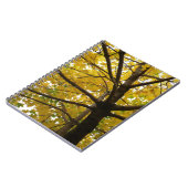 Paar Gele Esdoornbomen Herfst Natuur Notitieboek (Linkerzijde)