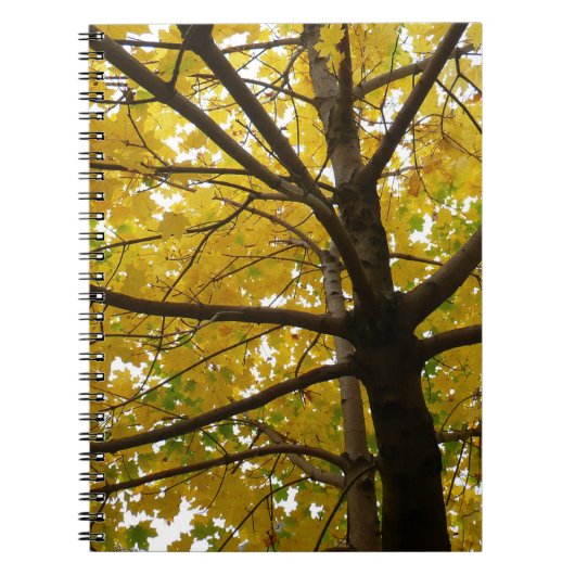 Paar Gele Esdoornbomen Herfst Natuur Notitieboek (Voorkant)