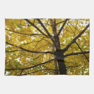 Paar Gele Esdoornbomen Herfst Natuur Theedoek