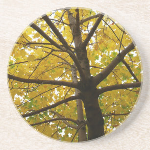 Paar Gele Esdoornbomen Herfst Natuur Zandsteen Onderzetter