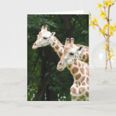Paar Giraffes Wenskaarten Kaart (Gele Bloem)
