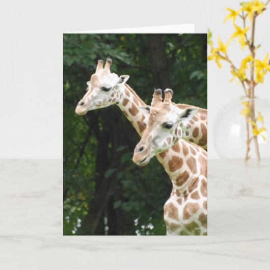 Paar Giraffes Wenskaarten Kaart (Gele Bloem)