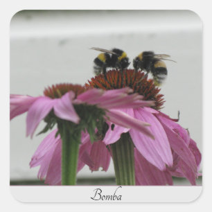 Paar hommels op coneflower vierkante sticker