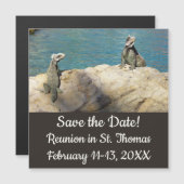 Paar Iguanas Tropical Wildlife Save the Date (Voorkant / Achterkant)