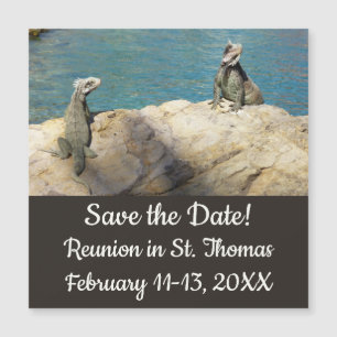 Paar Iguanas Tropical Wildlife Save the Date