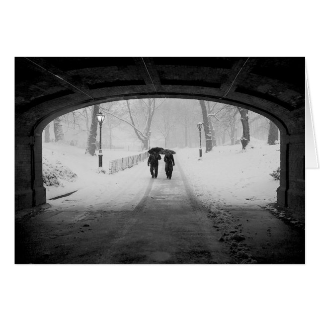Paar in Snowstorm, Central Park (Voorkant Horizontaal)