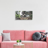 Paar Kale Eagles beschermen van het nest Canvas Afdruk (Insitu (Woonkamer))