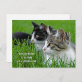 paar kittens in gras feestdagenkaart (Voorkant / Achterkant)