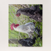 paar kleurrijke kaken legpuzzel (Verticaal)
