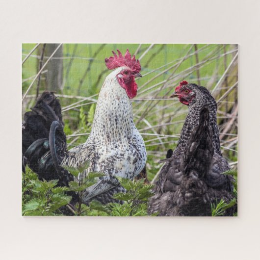 paar kleurrijke kaken legpuzzel (Horizontaal)