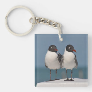 Paar Kokmeeuwen Sleutelhanger