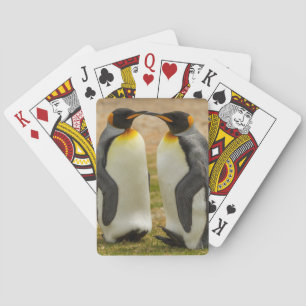 Paar koningspinguïns, Falklandeilanden Pokerkaarten