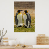 Paar koningspinguïns, Falklands Poster (Keuken)