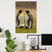 Paar koningspinguïns, Falklands Poster (Thuiskantoor)