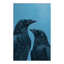 Paar kraaien op een blauwe achtergrond