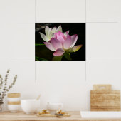 Paar Lotusbloemen II Poster (Keuken)