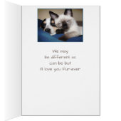 Paar Love FOREVER OF Fur-ever Dog & Cat Humor (Binnen (Rechts))