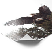 Paar Majestic Kale Adelaars Mating voor het Leven Foto Afdruk (Hoek)