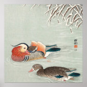 Paar Mandarin Duck Design | Ideale cadeaus Poster (Voorkant)