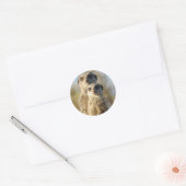 Paar Meerkats Ronde Sticker (Envelop)