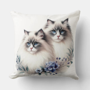 PAAR MOOIE PLUIZIGE RAGDOLL KATTEN KUSSEN