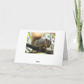 Paar Naughty Squirrel Holding Nut Humor Kaart (Achterkant)