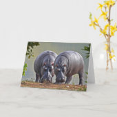 Paar nijlpaarden kaart (Gele Bloem)