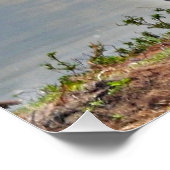 Paar nijlpaarden perfect poster (Hoek)