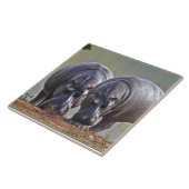 Paar nijlpaarden tegeltje (Zijkant)