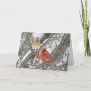 Paar Noordelijke Kardinalen Kaart