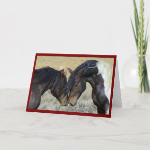 Paar Paarden Huwelijkskaart Kaart