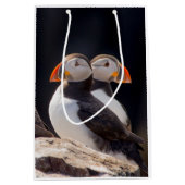 Paar papegaaiduikers medium cadeauzakje (Voorkant)