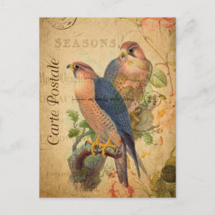 paar Peregrine Falcons Birds Frans Briefkaart