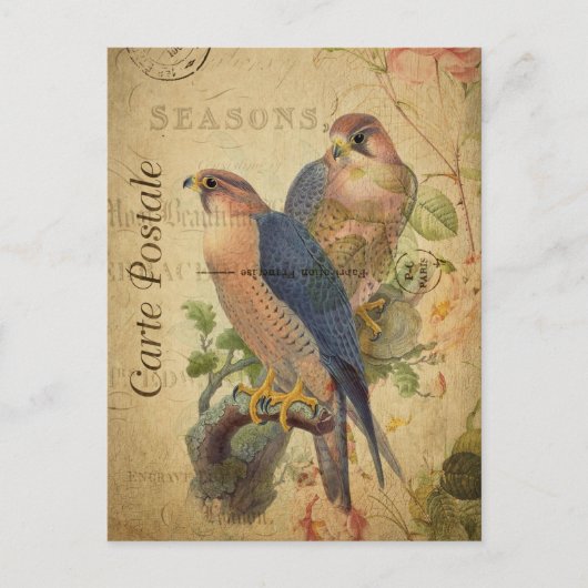  paar Peregrine Falcons Birds Frans Briefkaart (Voorkant)