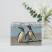 Paar pinguïns op het strand briefkaart (Staand voorkant)